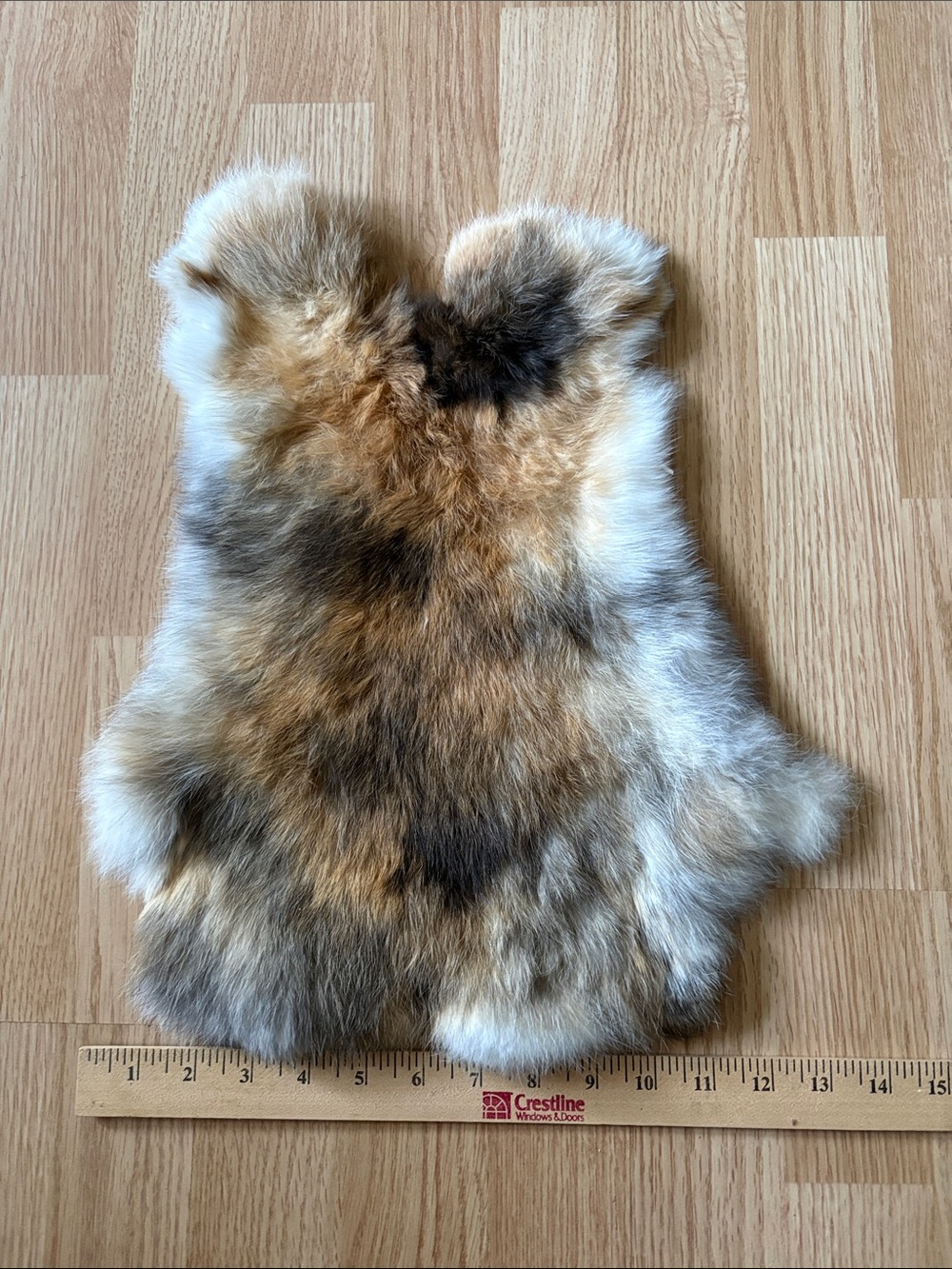 B0205 rabbit pelt